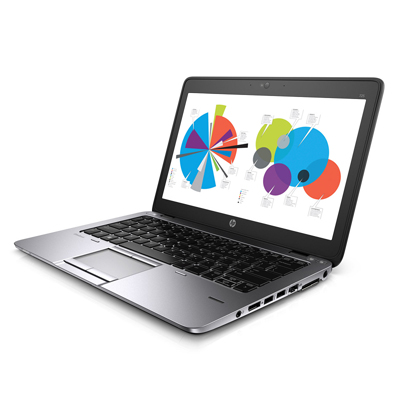 HP EliteBook 725 G2 (N6Q74EA)