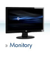 Monitory