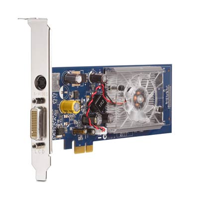 Grafická karta nNVidia GF 8400GS 256MB DH PCIe x1 (GJ120AA)