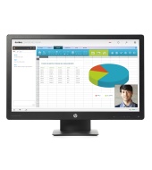HP ProDisplay P240va (N3H14AA)