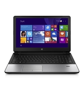 HP 355 G2 (G6V71EA)