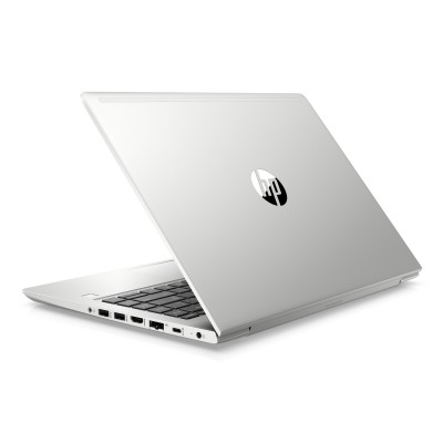 HP ProBook 445 G6 (6MR47ES)