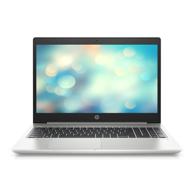HP ProBook 450 G7 (1F3H4EA)
