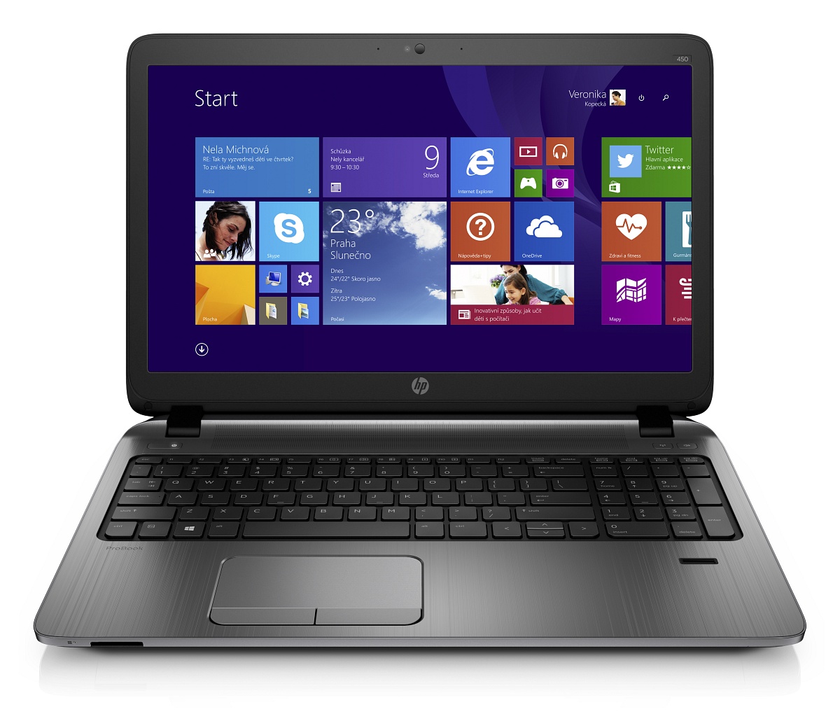 HP ProBook 455 G2 (G6W48EA)