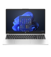 HP 255 G10 (AK9W6AT)