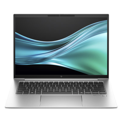 HP EliteBook 845 G11 (9G147ET)