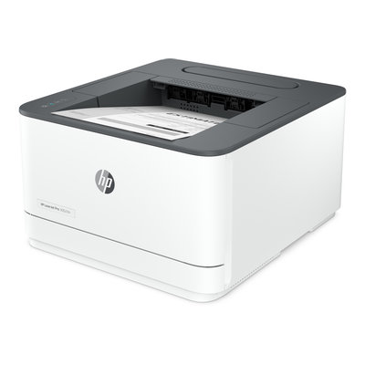 HP LaserJet Pro 3002dn (3G651F)