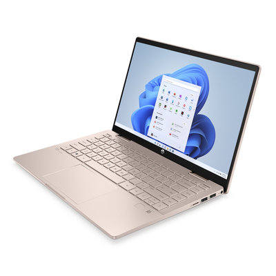 HP Pavilion x360 14-ek1001nc (8E556EA)