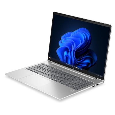 HP ProBook 4 G2a 16" (DJ8L0ET)
