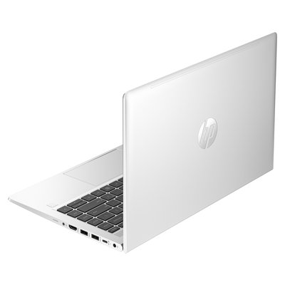 HP ProBook 445 G10 (968P6ET)