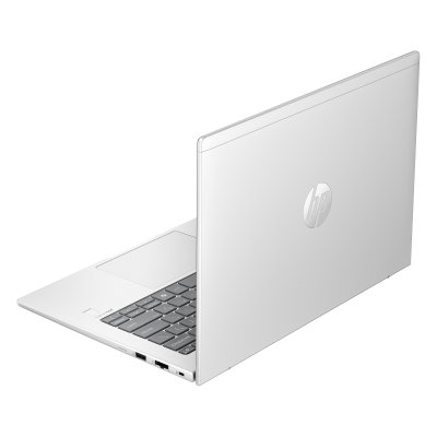 HP ProBook 445 G11 (A38JDET)