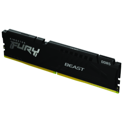 Paměť KINGSTON 64GB DDR5-5600 FURY Beast EXPO DIMM (KF556C36BBE-64)