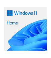 Windows 11 Home 64-bit CZ - USB (HAJ-00105)