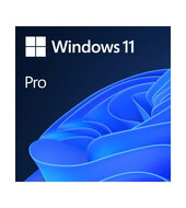 Windows 11 Pro 64-bit SK - USB (HAV-00161)