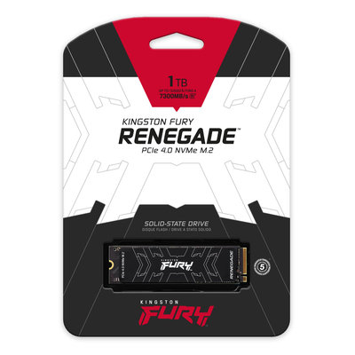 M.2 SSD disk Kingston FURY RENEGADE - 1 TB (SFYRS-1000G)