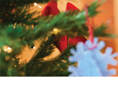 Provoz HPmarket v závěru roku 2025